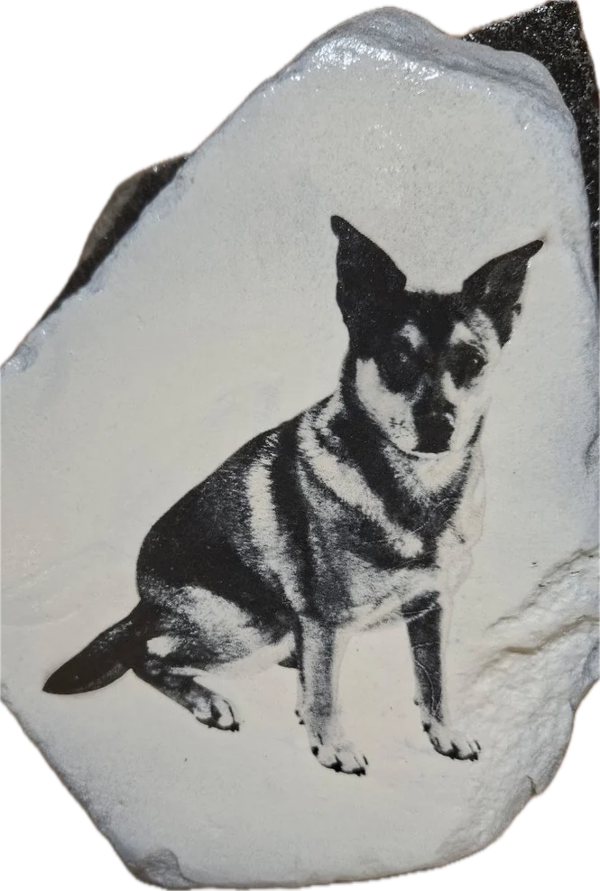 A detailed black and white portrait of a seated dog engraved on a white stone.
